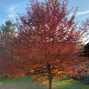 Meet your Posher, Consuila